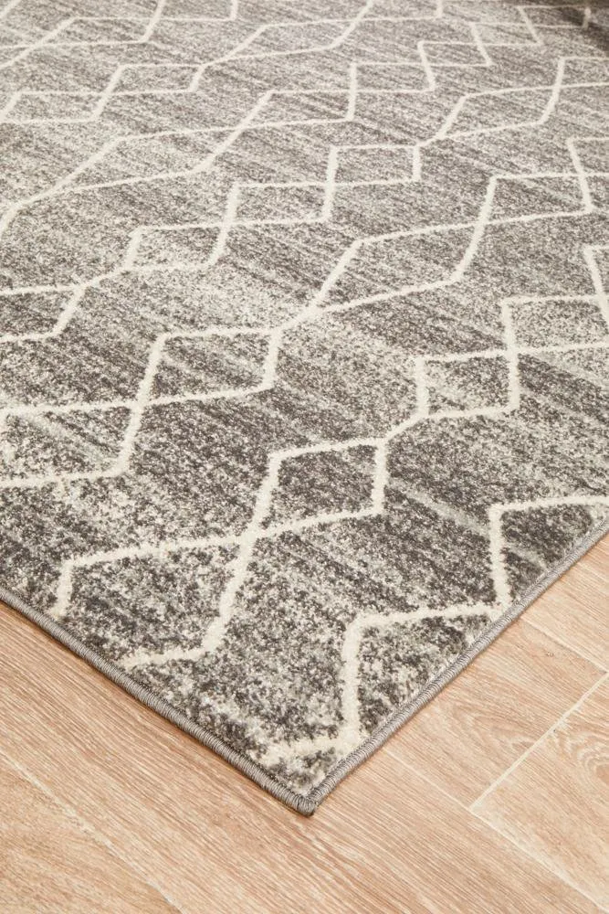 ENVI Remy Silver Transitional Rug